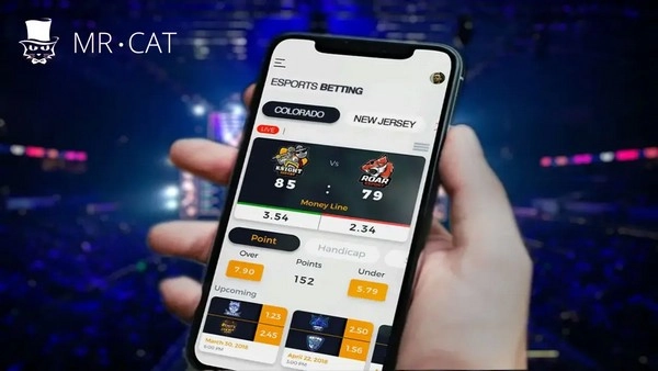 Taruhan Kemenangan Pahlawan Khusus Peta - Bisakah Pilihan Hero Spesifik Peta Memprediksi Hasil Pertandingan di Esports?