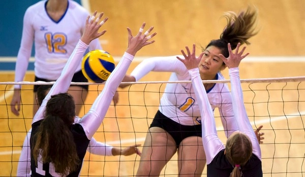 Apakah Kemenangan Tim Underdog dalam Bola Voli Lebih Sering Terjadi daripada yang Anda Duga?