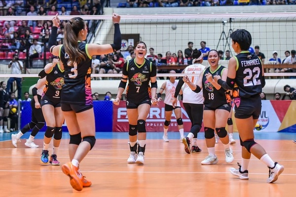 Apakah Kemenangan Tim Underdog dalam Bola Voli Lebih Sering Terjadi daripada yang Anda Duga?