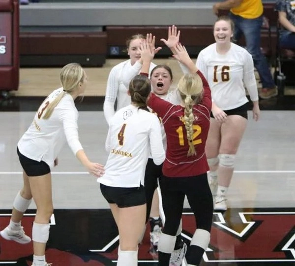 Apakah Kemenangan Tim Underdog dalam Bola Voli Lebih Sering Terjadi daripada yang Anda Duga?