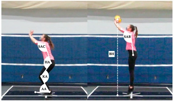 Bisakah Anda Menguasai Pergerakan Garis Bola Voli?