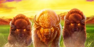 Buffalo Blitz Megaways – Putaran Menggemparkan dengan Jalur Kemenangan Besar