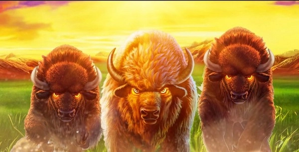 Buffalo Blitz Megaways – Putaran Menggemparkan dengan Jalur Kemenangan Besar